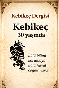 Kebikeç